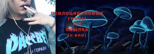 тгк Армянск