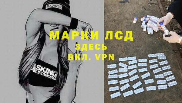 стафф Аркадак